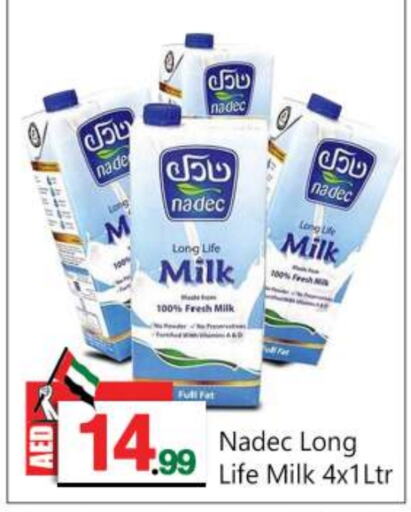 NADEC Long Life / UHT Milk  in BIGmart in UAE - Dubai