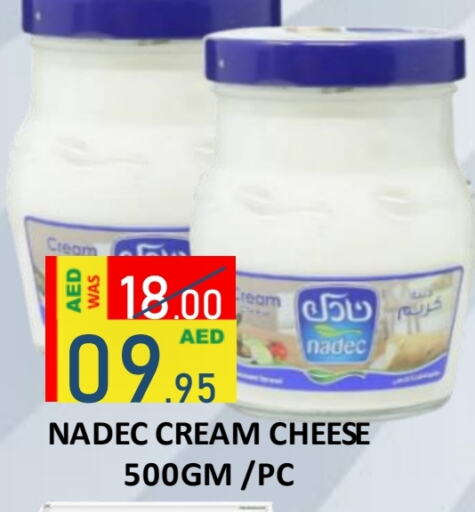 NADEC Cream Cheese  in ROYAL GULF HYPERMARKET LLC in UAE - Abu Dhabi