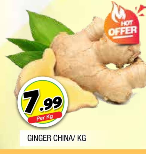  Ginger  in AL MADINA in UAE - Sharjah / Ajman