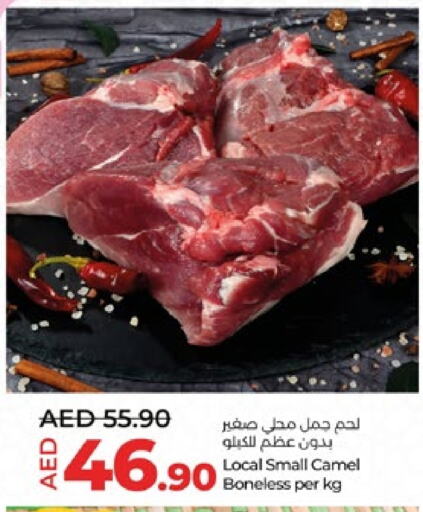  Camel meat  in Lulu Hypermarket in UAE - Al Ain