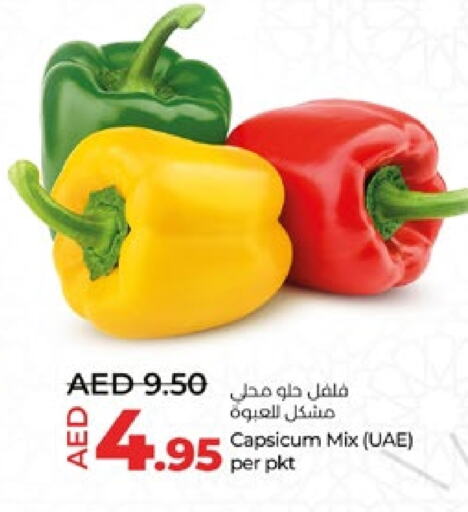  Chilli / Capsicum  in Lulu Hypermarket in UAE - Al Ain