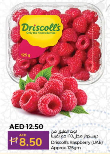  Berries  in Lulu Hypermarket in UAE - Dubai