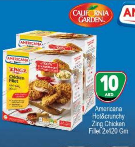 AMERICANA Chicken Breast  in BIGmart in UAE - Abu Dhabi