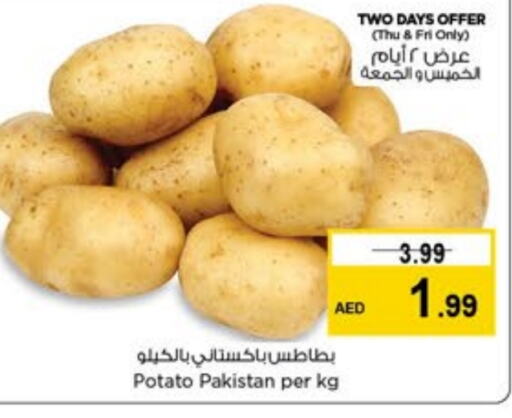  Potato  in Last Chance  in UAE - Sharjah / Ajman