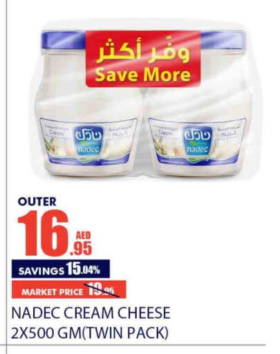 NADEC Cream Cheese  in Bismi Wholesale in UAE - Dubai