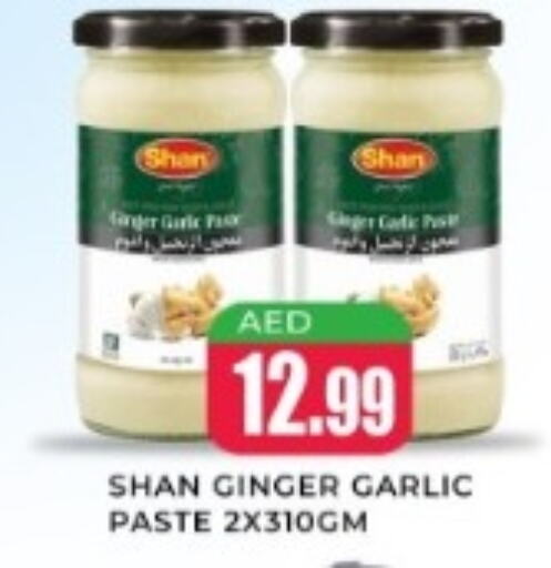 SHAN Garlic Paste  in Meena Al Madina Hypermarket  in UAE - Sharjah / Ajman