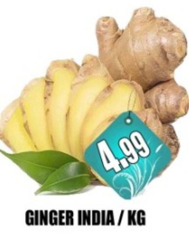 Ginger