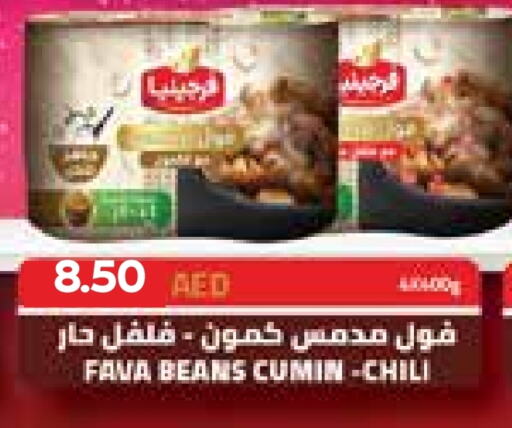  Fava Beans  in Abu Dhabi COOP in UAE - Al Ain