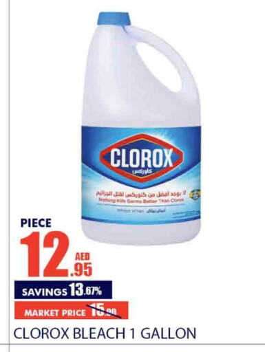 CLOROX Bleach  in Bismi Wholesale in UAE - Dubai