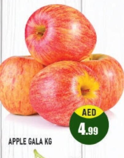  Apples  in Azhar Al Madina Hypermarket in UAE - Abu Dhabi