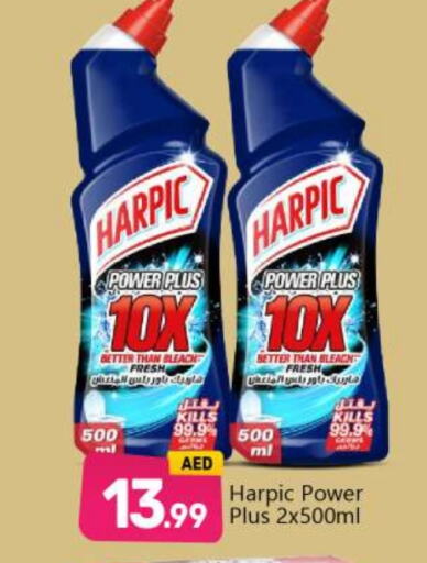 HARPIC Toilet / Drain Cleaner  in BIGmart in UAE - Abu Dhabi