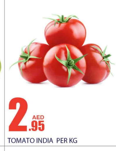  Tomato  in Bismi Wholesale in UAE - Dubai