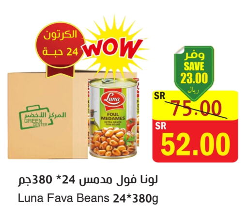 LUNA Fava Beans  in  Green Center in KSA, Saudi Arabia, Saudi - Dammam