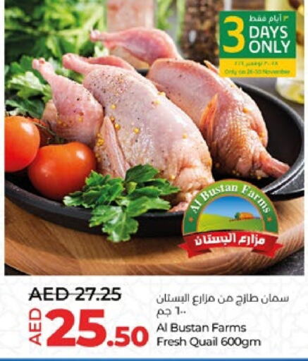  Quail  in Lulu Hypermarket in UAE - Al Ain