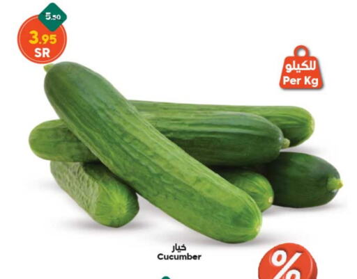  Cucumber  in Dukan in KSA, Saudi Arabia, Saudi - Jeddah