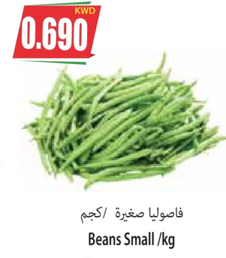  Beans  in Locost Supermarket in Kuwait - Kuwait City