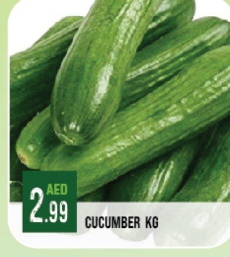 Cucumber