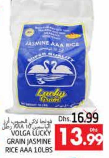 VOLGA Jasmine Rice  in PASONS GROUP in UAE - Al Ain