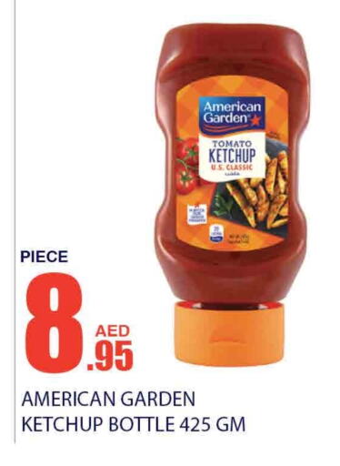 AMERICAN GARDEN Tomato Ketchup  in Bismi Wholesale in UAE - Dubai