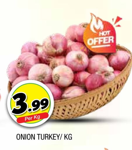  Onion  in AL MADINA in UAE - Sharjah / Ajman