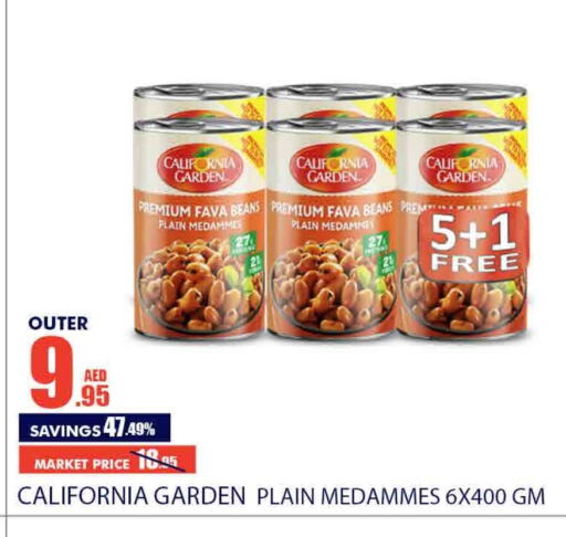 CALIFORNIA GARDEN Fava Beans  in Bismi Wholesale in UAE - Dubai