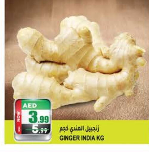 Ginger