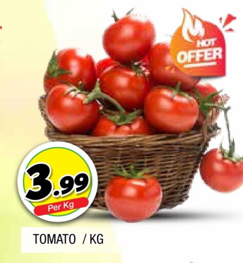  Tomato  in AL MADINA in UAE - Sharjah / Ajman