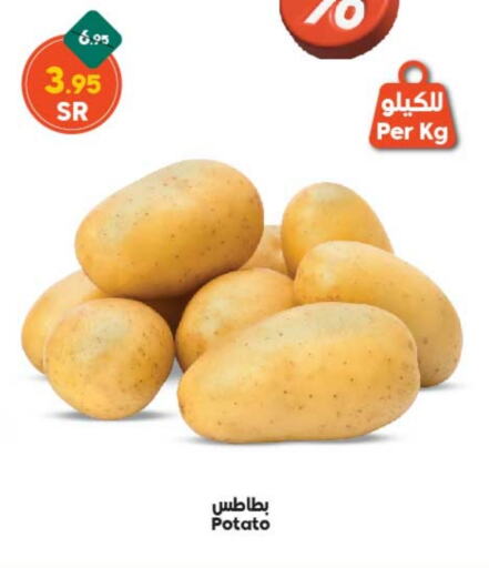  Potato  in Dukan in KSA, Saudi Arabia, Saudi - Mecca