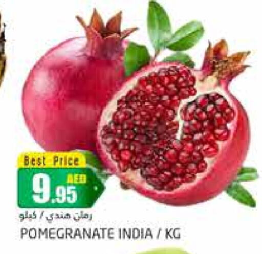  Pomegranate  in PASONS GROUP in UAE - Dubai