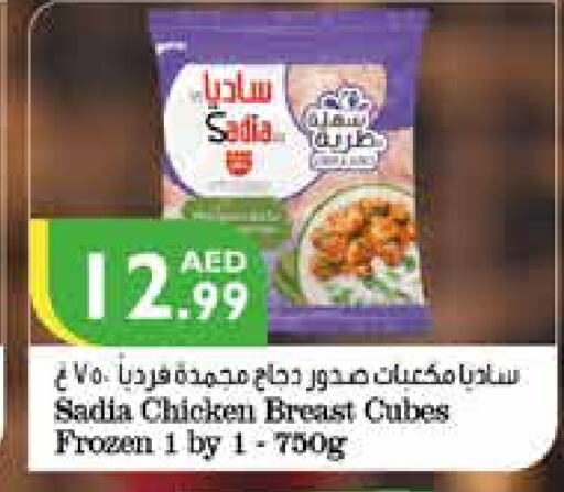 SADIA   in Istanbul Supermarket in UAE - Al Ain