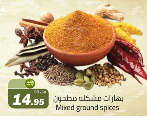  Spices  in Supermarket Stor in KSA, Saudi Arabia, Saudi - Jeddah