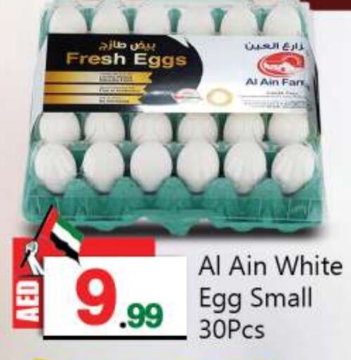 AL AIN   in BIGmart in UAE - Abu Dhabi