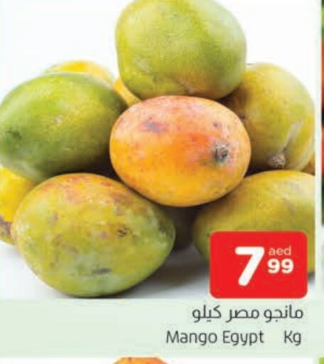 Mango Mango  in AL MADINA in UAE - Sharjah / Ajman