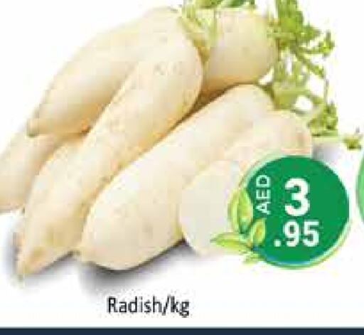 Radish