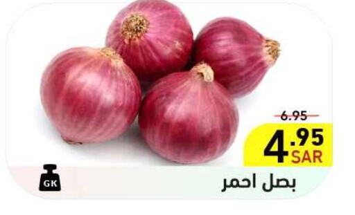 Onion