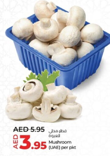  Mushroom  in Lulu Hypermarket in UAE - Al Ain