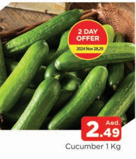  Cucumber  in AL MADINA in UAE - Sharjah / Ajman