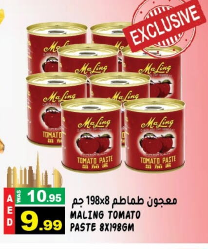  Tomato Paste  in Hashim Hypermarket in UAE - Sharjah / Ajman