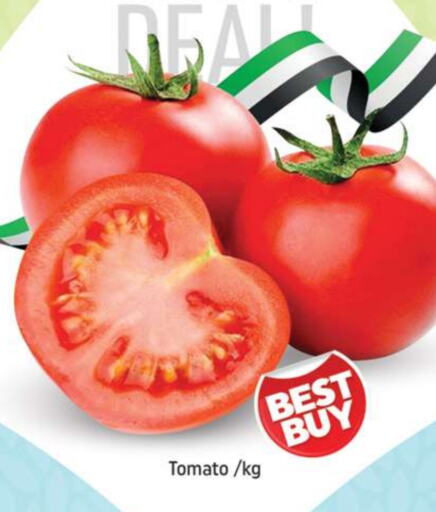  Tomato  in Shaklan  in UAE - Dubai