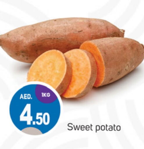  Sweet Potato  in TALAL MARKET in UAE - Sharjah / Ajman