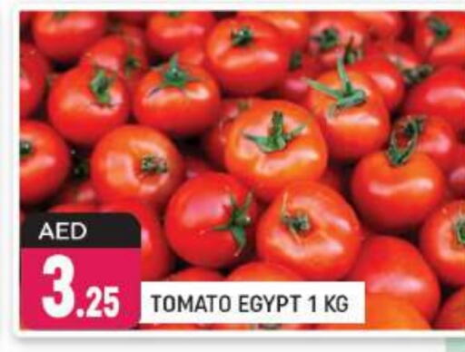  Tomato  in Shaklan  in UAE - Dubai