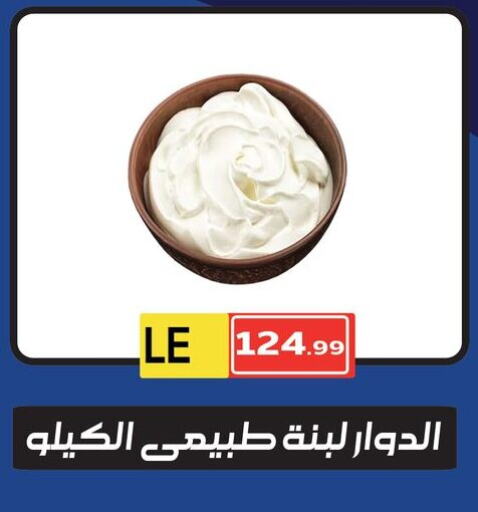  Labneh  in MartVille in Egypt - Cairo