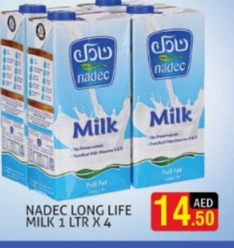 NADEC Long Life / UHT Milk  in Palm Hypermarket Muhaisina LLC in UAE - Dubai