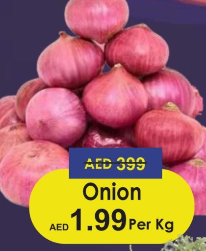  Onion  in Palm Centre LLC in UAE - Sharjah / Ajman