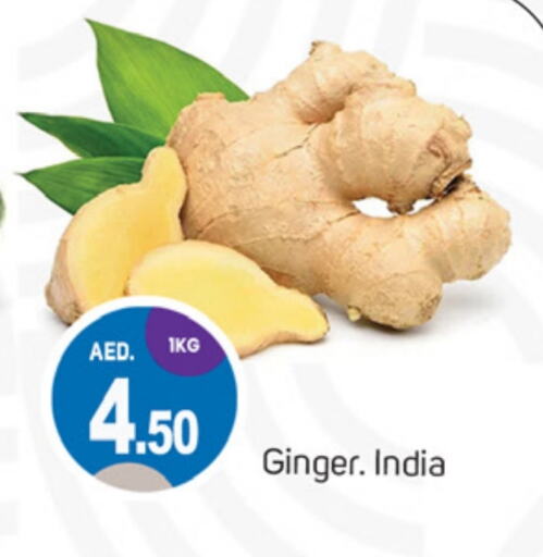  Ginger  in TALAL MARKET in UAE - Sharjah / Ajman