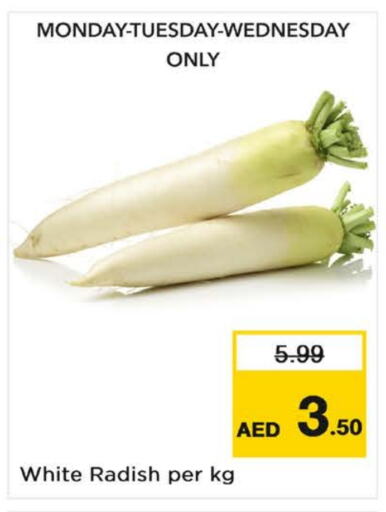  Radish  in Nesto Hypermarket in UAE - Dubai