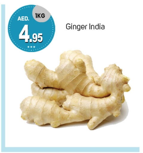  Ginger  in TALAL MARKET in UAE - Dubai