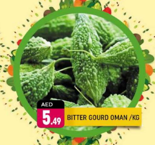  Bitter Gourd  in Shaklan  in UAE - Dubai