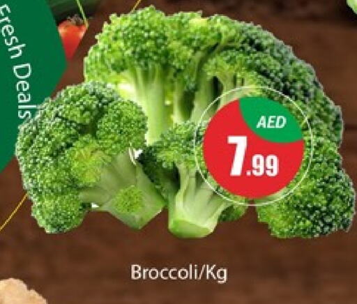  Broccoli  in Al Madina  in UAE - Dubai