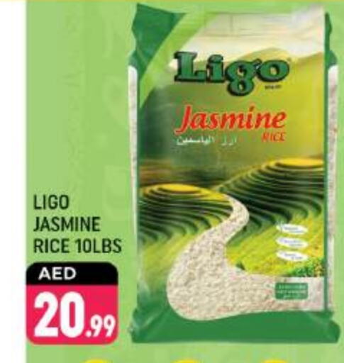  Jasmine Rice  in Shaklan  in UAE - Dubai